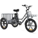 Електровелосипед триколісний ELEKGO EGO03 250W 48V 18Ah 20″