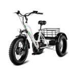 Електровелосипед триколісний Grizzly M5 700W 36V 15Ah (20″ E-Trike)