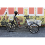 Електровелосипед триколісний SKYMOTO BIG HAPPY 350W 48V 10Ah 24″ - Зображення 5