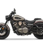 BENDA Chinchilla V500