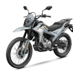 CFMOTO 230 LITE DUAL