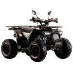 Квадроцикл SPARK SP125-9
